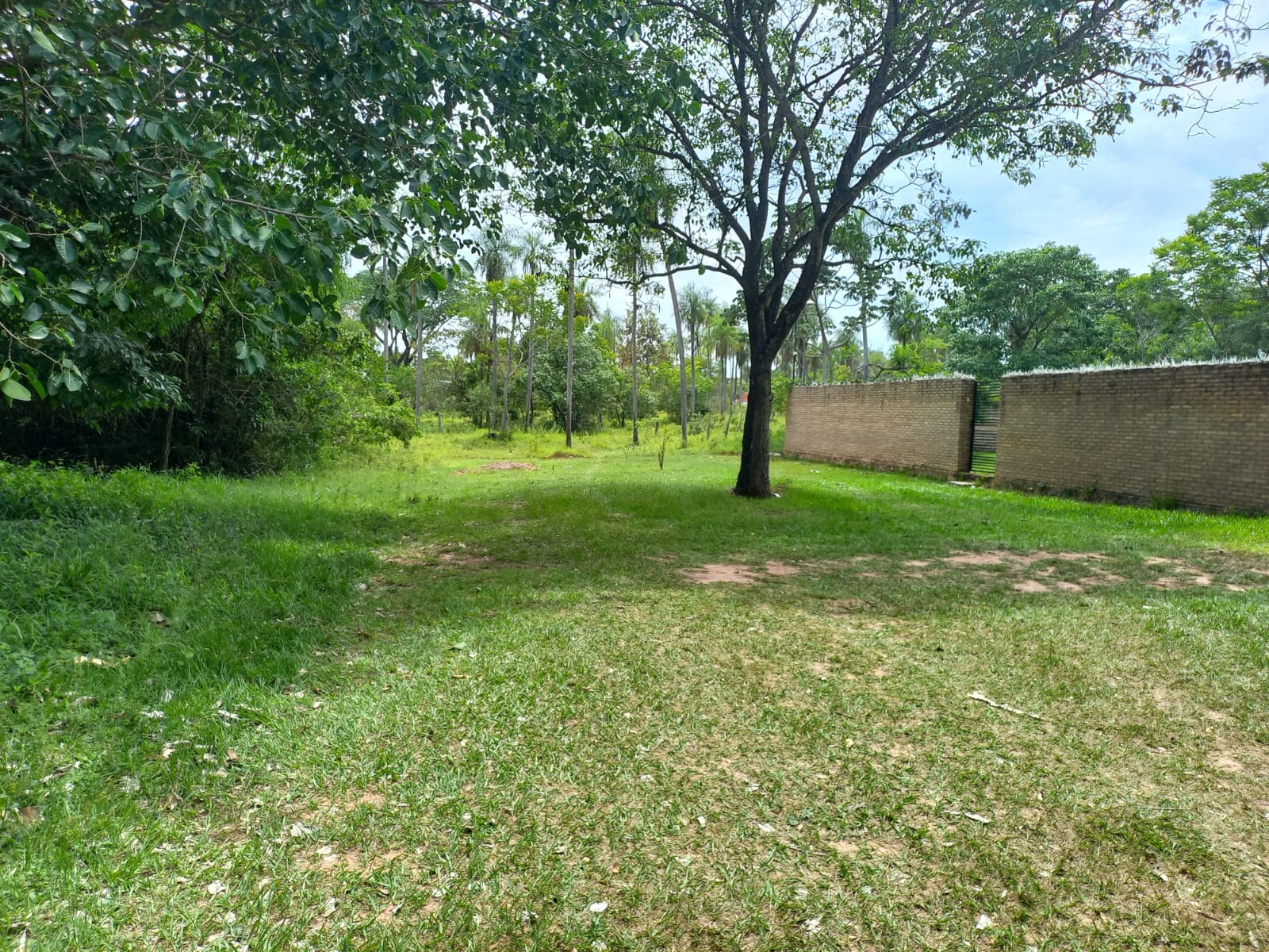 TERRENO EN VENTA – PIRIBEBUY — foto 3