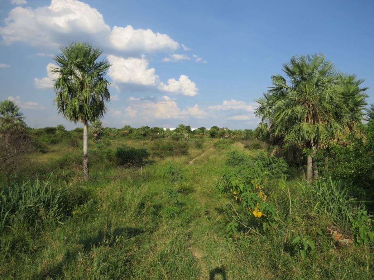 ¡Gran oportunidad de inversión en Limpio – Zona Costa Azul! — foto 2