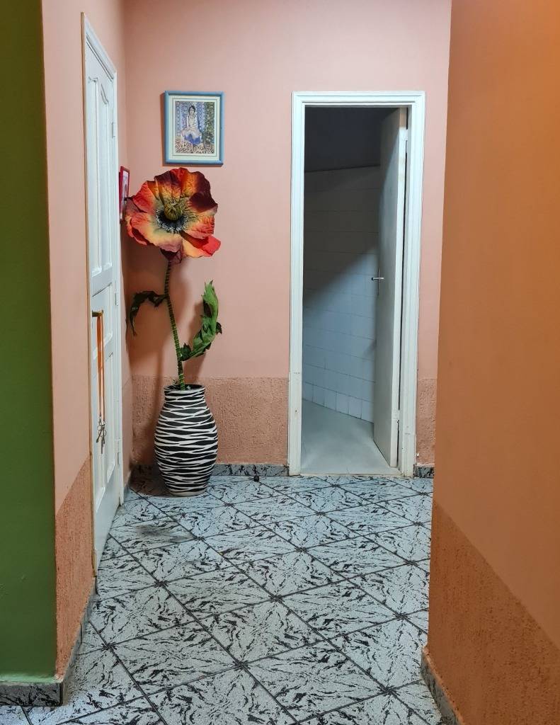 VENDO CASA DE 4 HABITACIONES EN LAS LOMAS EN ASUNCION — foto 2