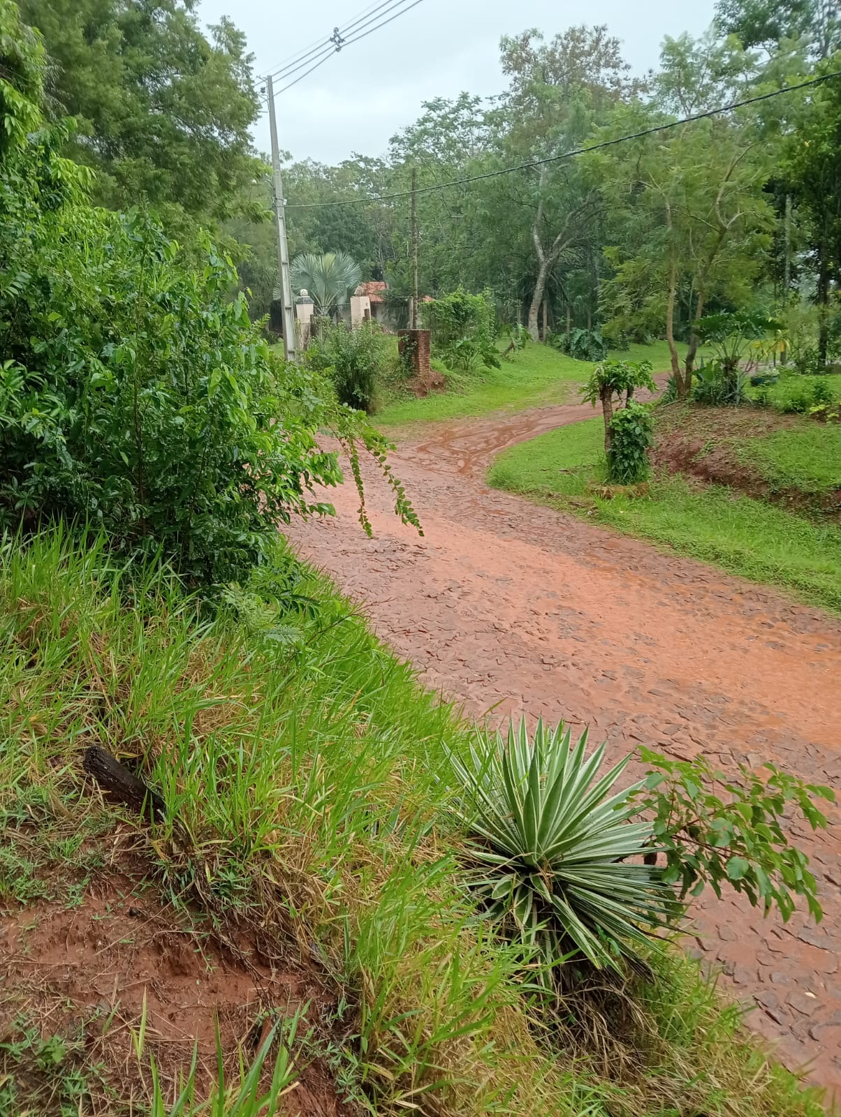 En venta propiedad de 3 hectáreas y media en atyra — foto 2