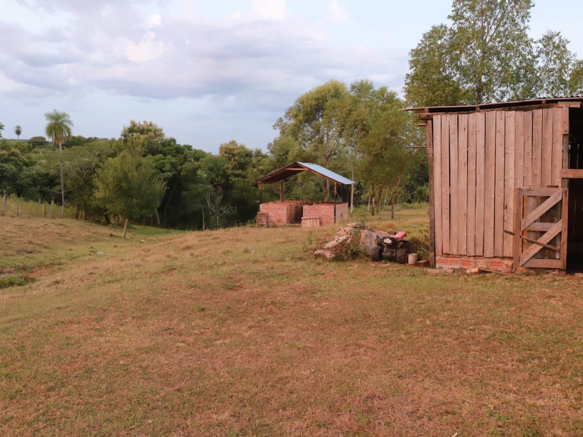 SE VENDE CAMPO EN CAAGUAZU - INFRAESTRUCTURA PRODUCTIVA — foto 3