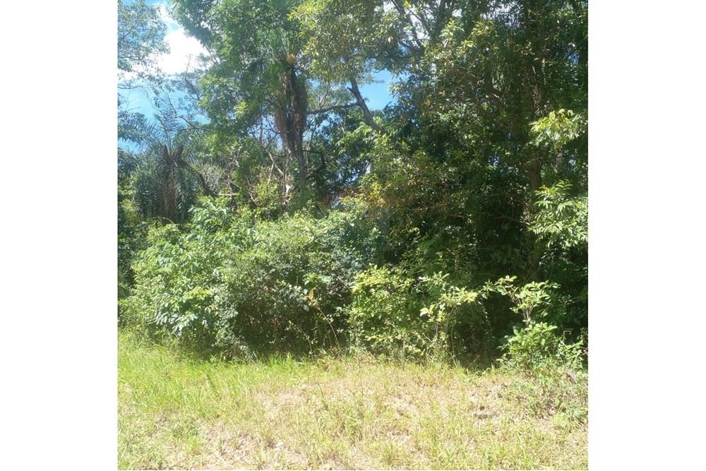 Terreno en venta en Piribebuy — foto 3