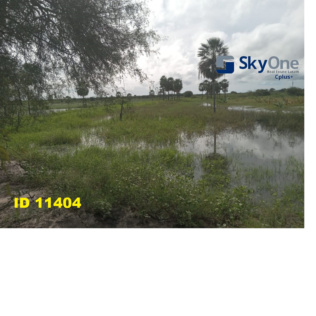 VENDO ESTANCIA EN ALTO PARAGUAY-FORTIN FLORIDA, 1600 HAS — foto 3