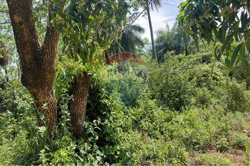 En Venta Terreno  De 3731 M2, Situado Sobre La Ruta Nacional  -  Emboscada — foto 2