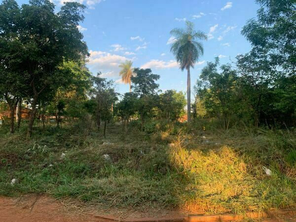 Terreno en venta en Luque — foto 2