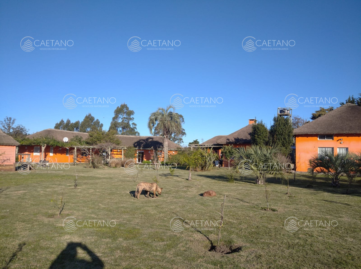 Chacras o Campos en Maldonado