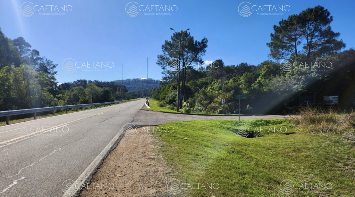 Departamento - Punta del Este