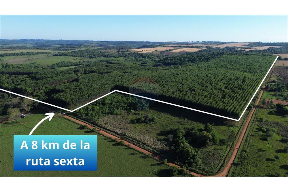 Terreno - Venta - Paraguay Itapúa Trinidad — foto 3