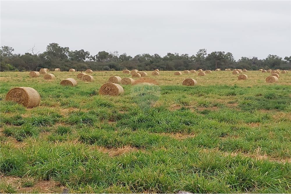 Vendo Campo en Mcal Estigarribia Chaco LaGerenza — foto 3