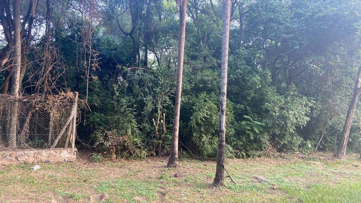 VENDO HERMOSO TERRENO CON ARROYITO EN URBANIZACIÓN EL CORTIJO – SAN BERNARDINO — foto 2