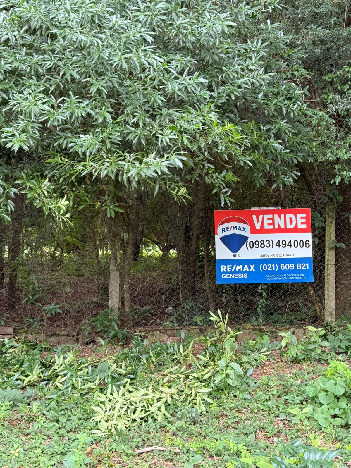 Terreno en venta en San Bernardino — foto 2