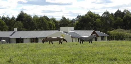 Estancia