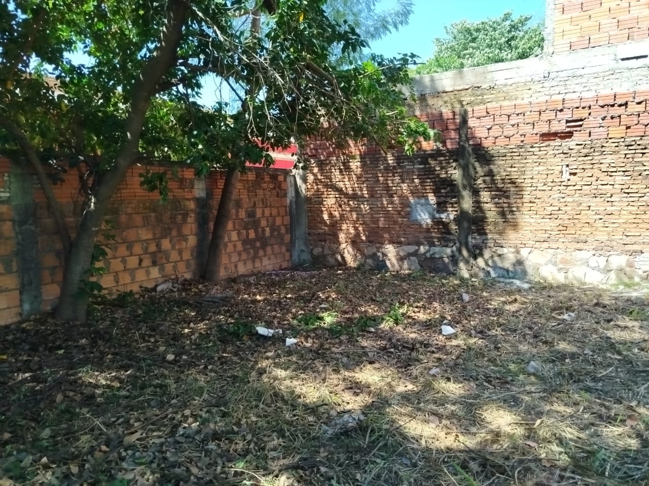 Oportunidad única! Vendo terreno en Luque — foto 2