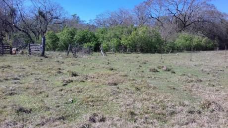 Vendo Campo En Guaira! Apto Para Cualquier Tipo De Inversion!