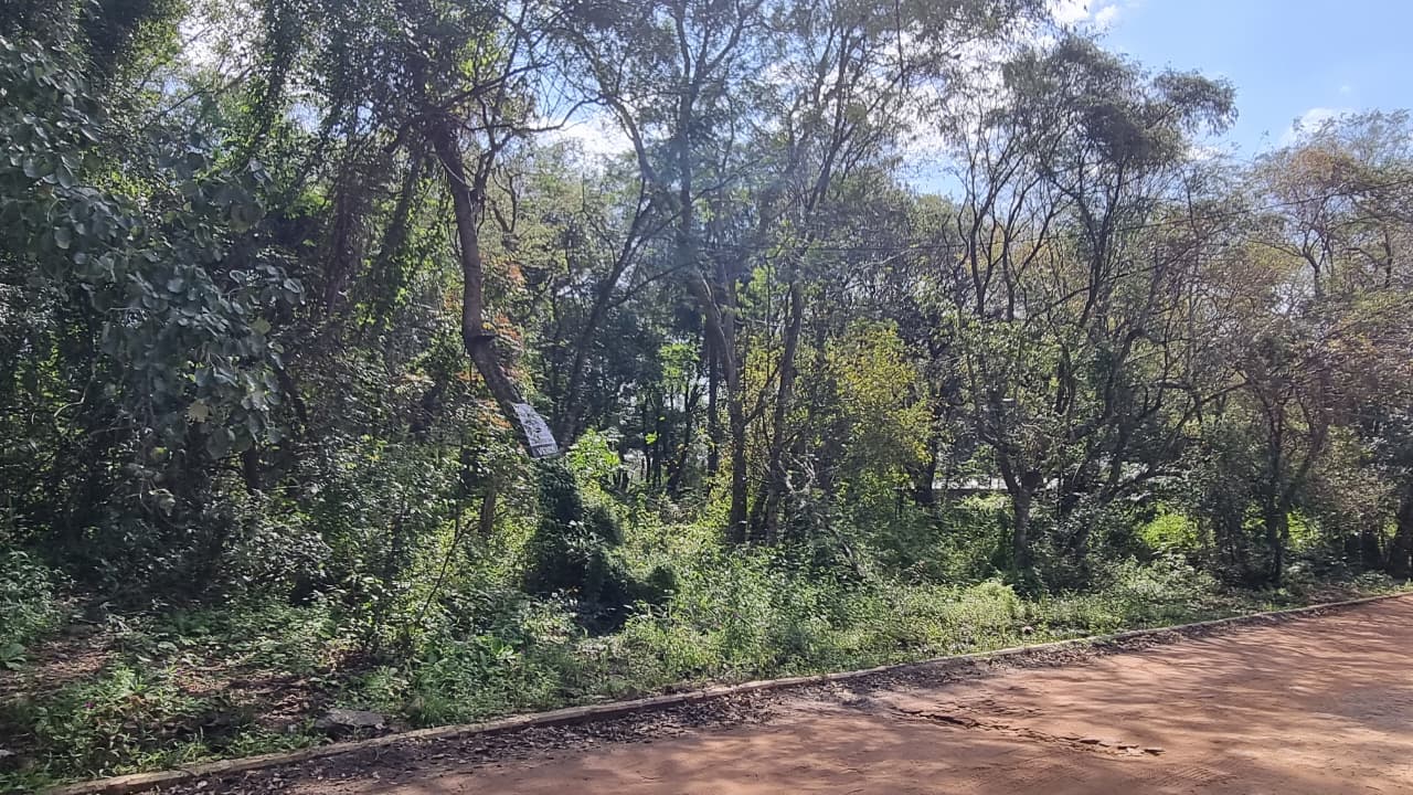 Vendo terreno en San Bernardino, Zona Ciervo , cercanía Condominios Ayres — foto 3