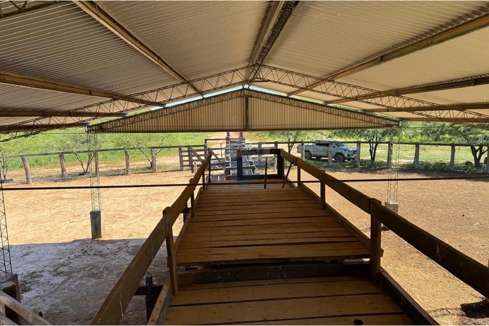 Vendo Campo en Mcal Estigarribia Chaco LaGerenza — foto 3