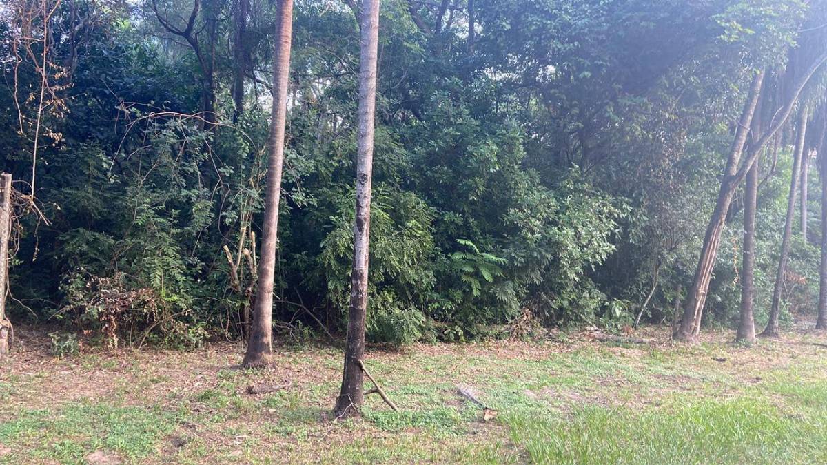 Terreno en venta en Urbanizacion El Cortijo, San Bernardino — foto 3