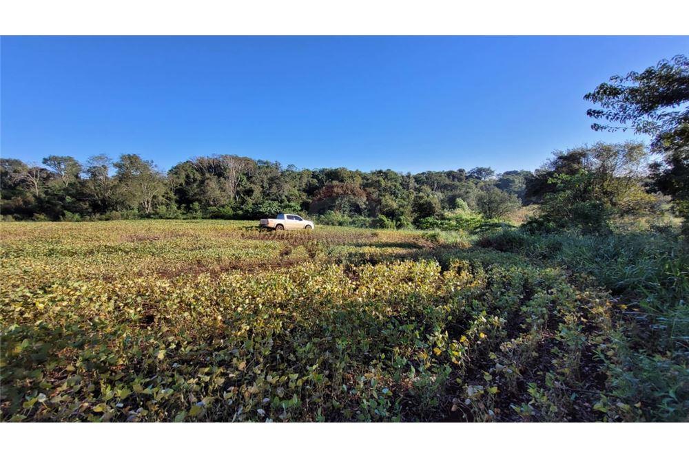 FINCA AGRICOLA - ITAPUA — foto 2