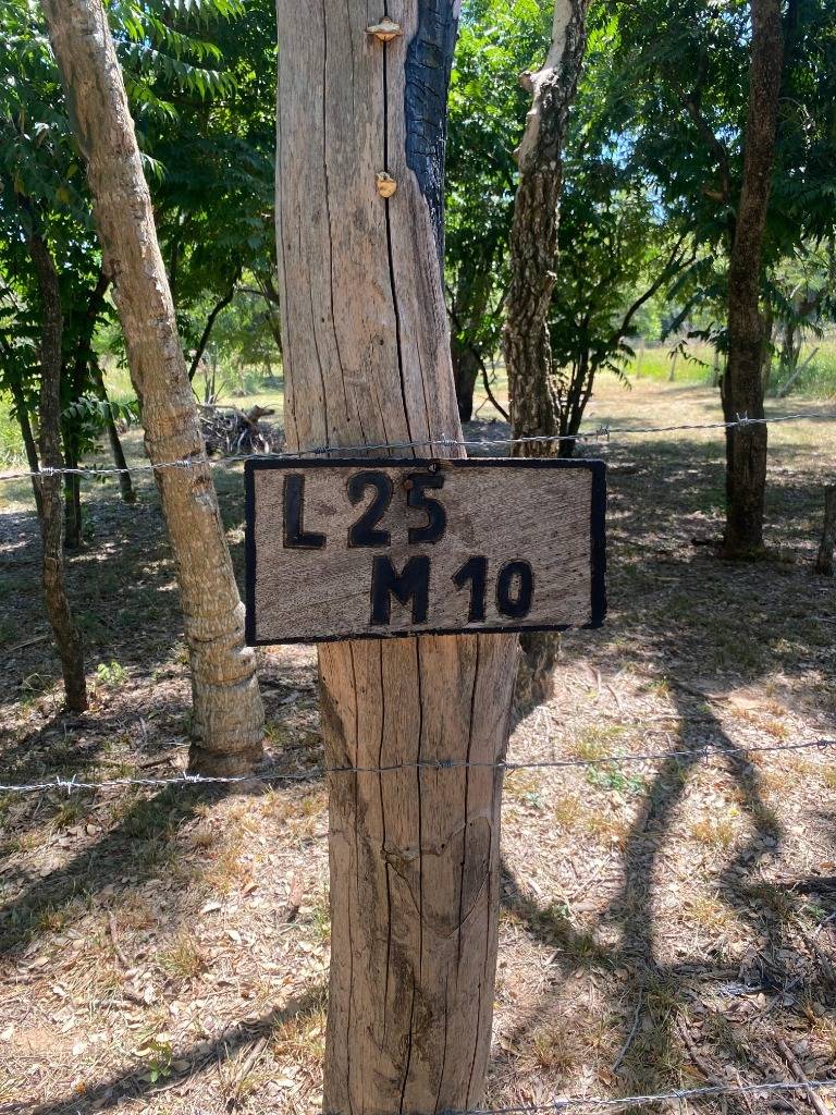 VENDO AMPLIO TERRENO EN SAN BERNARDINO ZONA CIERVO CUA — foto 2