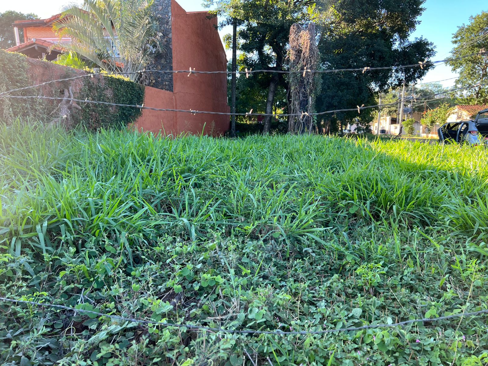 VENDO TERRENO EN ESQUINA (Luque) — foto 3