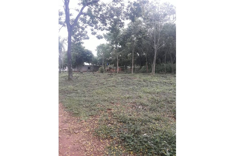 143061065-4 — foto 2
