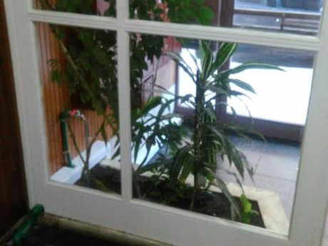 Alquilo Apartamento