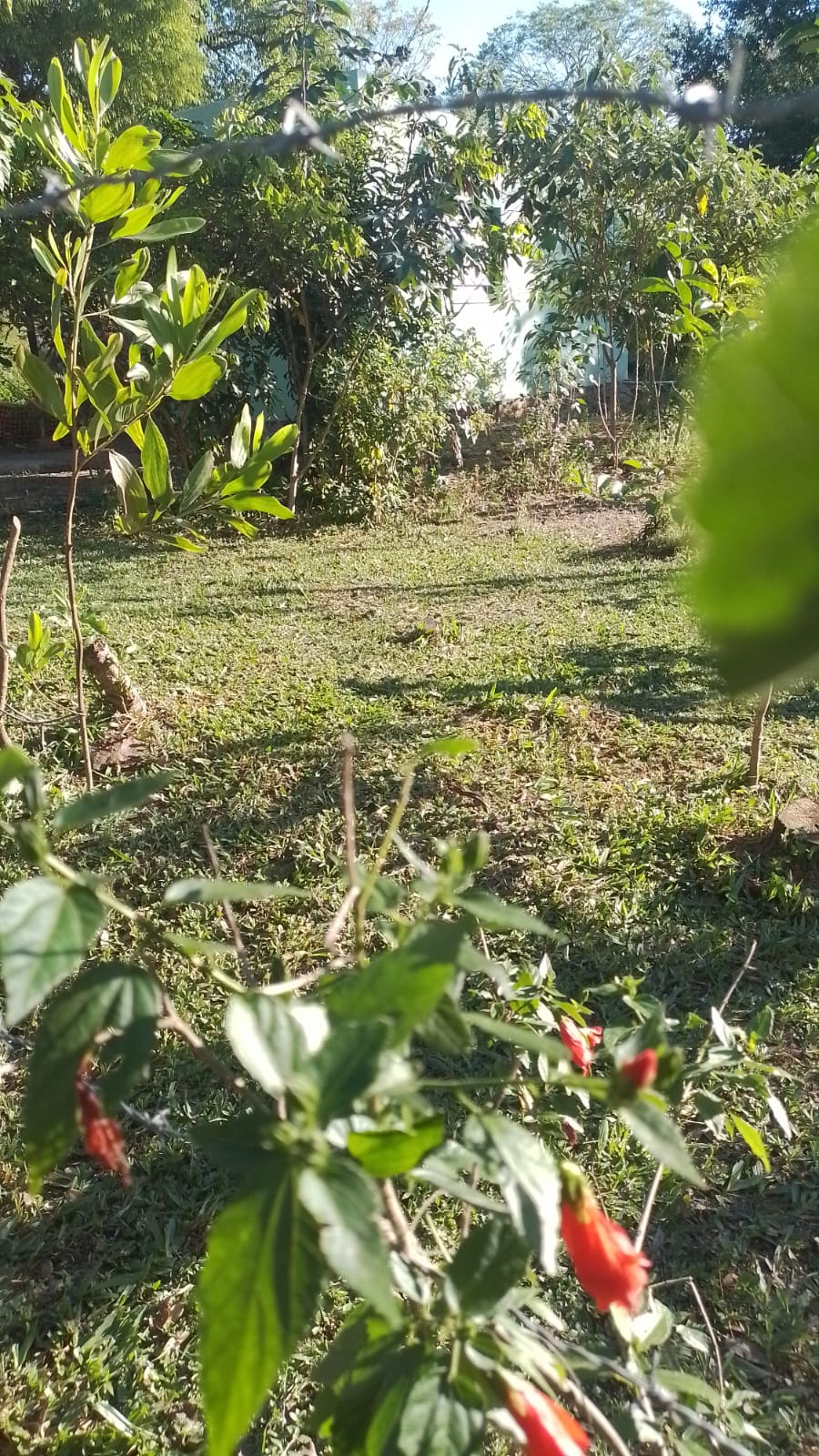 VENTA DE CASA EN PIRIBEBUY — foto 3