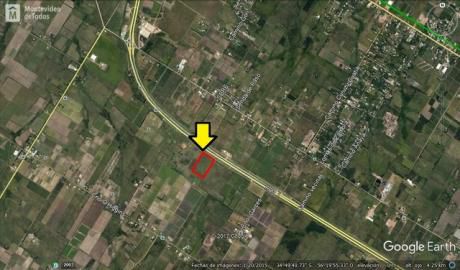 Predio De 33.000m² En Venta, Montevideo.