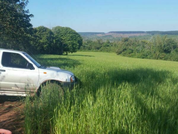 Terreno en venta en Ñemby — foto 3