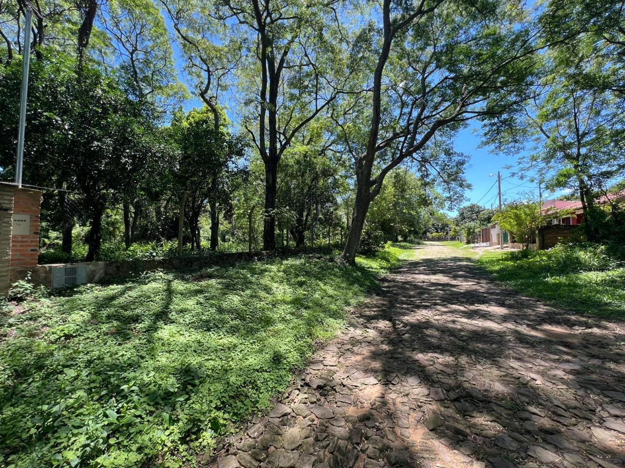 Vendo terreno San Bernardino Cristobal Colon — foto 2