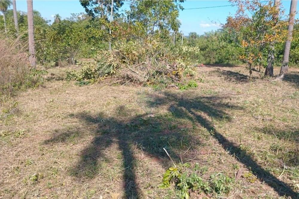 VENDO TERRENO EN  LOMA GRANDE — foto 2
