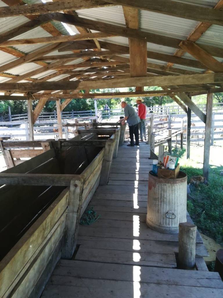 EN VENTA ESTANCIA DE 475 HECTAREAS EN CAAPUCU, PARAGUARI — foto 3