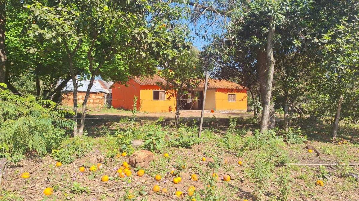 VENDO ESTANCIA EN NUEVA COLOMBIA DE 8 HECTÁREAS — foto 2