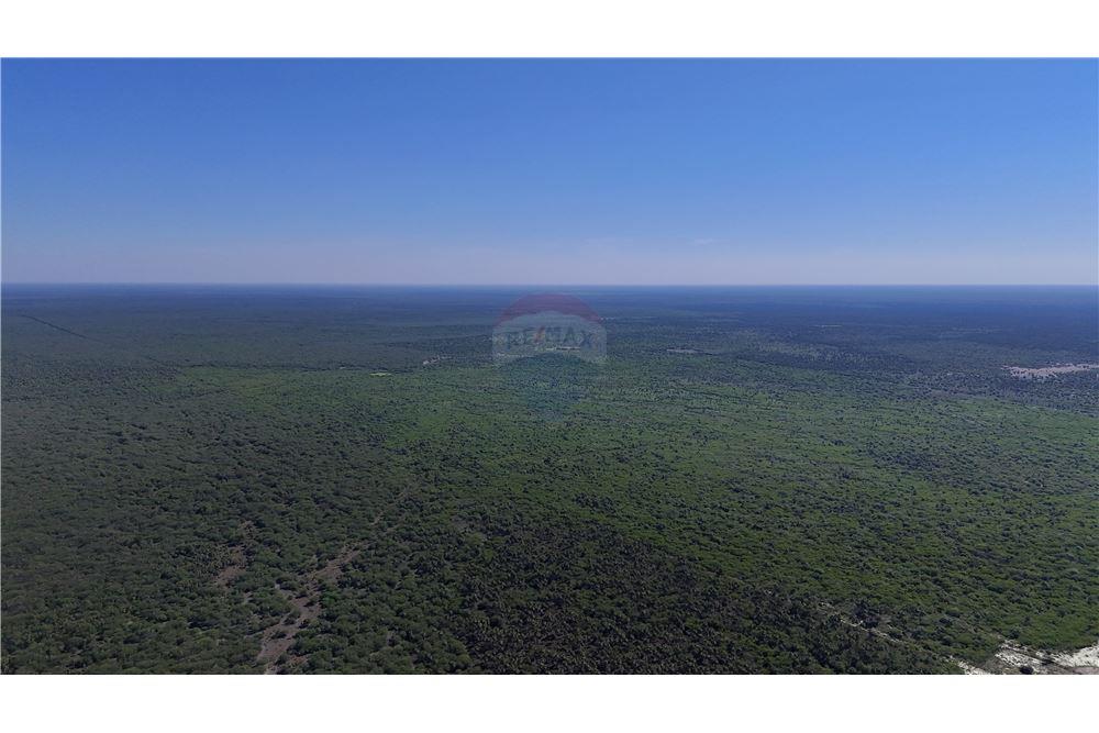 Gran Campo Desarrollado a la Venta - Pte. Hayes — foto 3