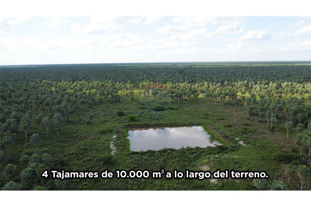 Estancia/Campo - Venta - Paraguay Presidente Hayes Benjamín Aceval — foto 2