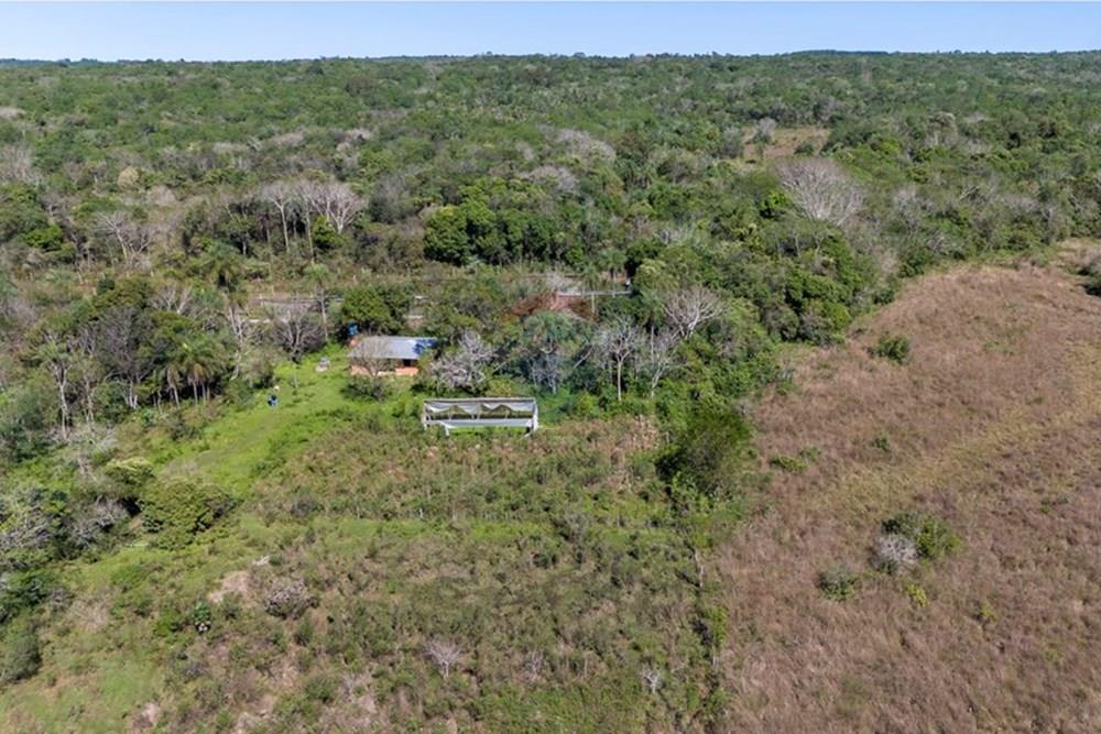 VENDO 43 HECTAREAS FERTILES EN PIRIBEBUY CORDILLERA — foto 3