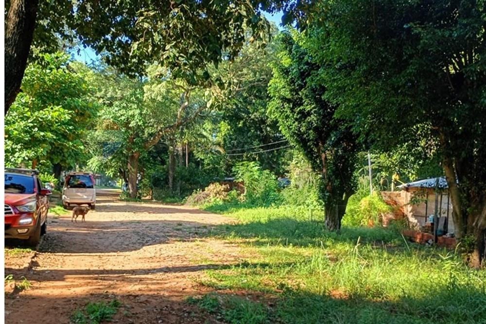 En Venta Terreno Luque — foto 3
