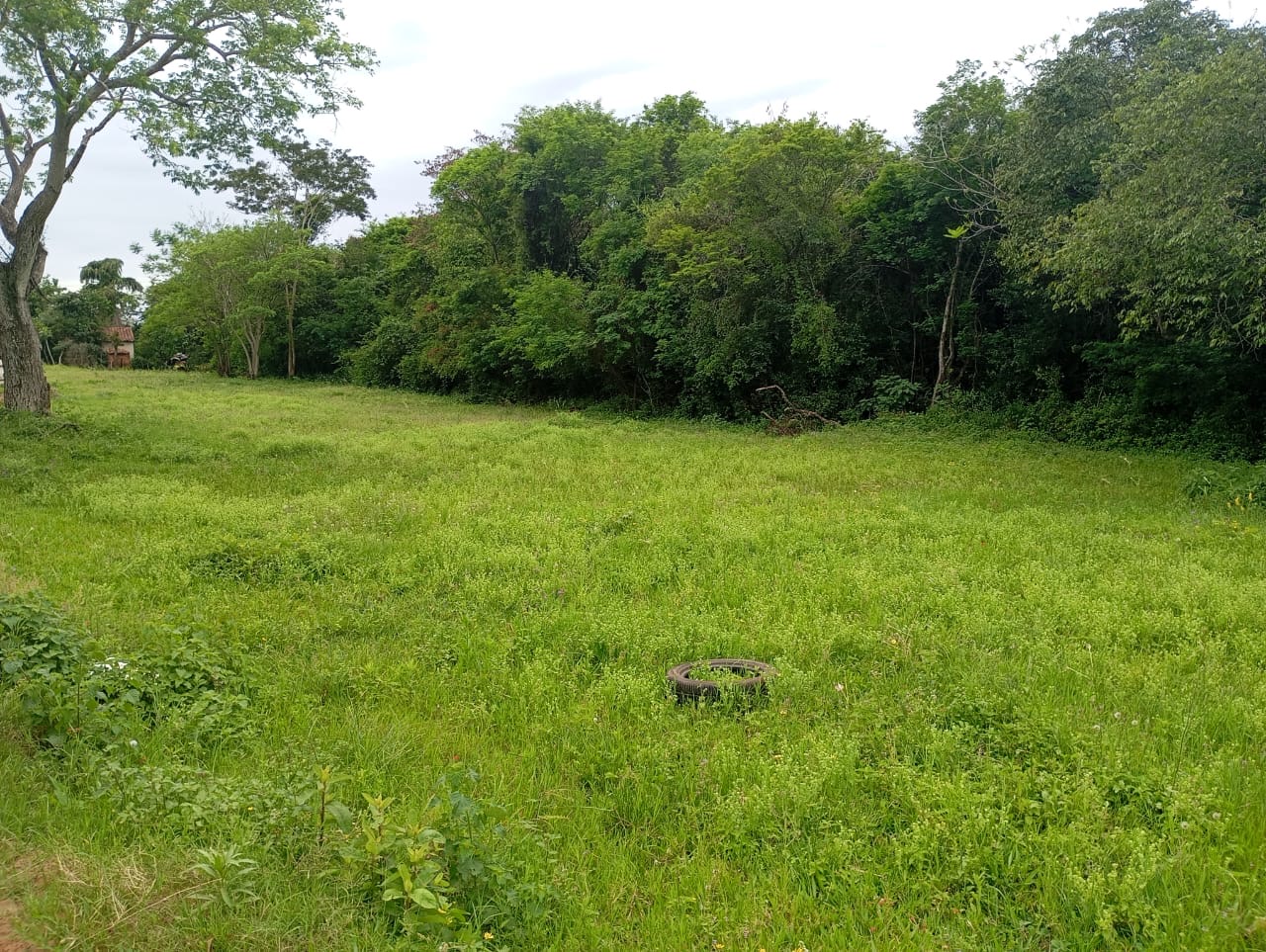 VENDO TERRENO EN ZARATE ISLA - LUQUE — foto 2