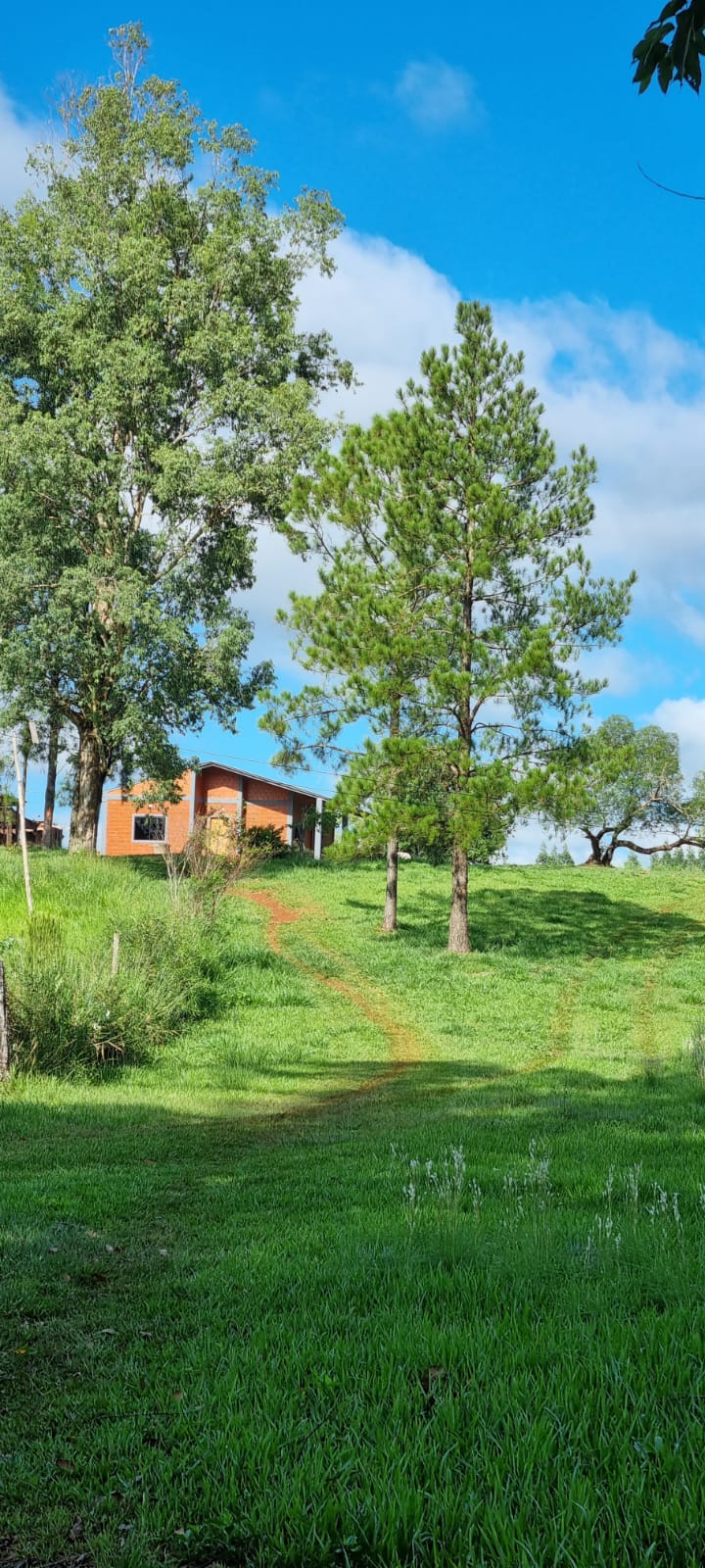 Exclusiva Granja de Ensueño: 8.5 Hectáreas de Oportunidad y Belleza en Hernandarias — foto 2