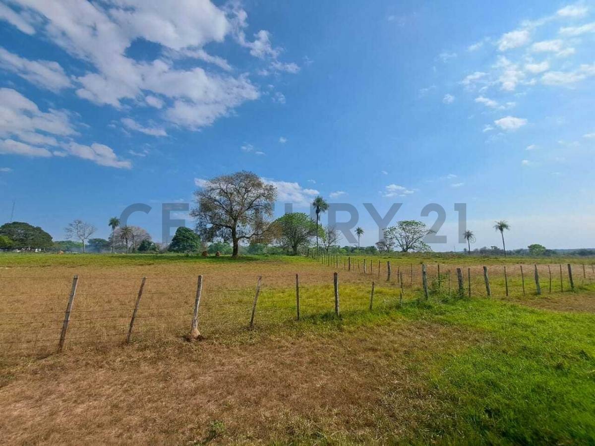 Vendo estancia con 319 hectareas en Concepcion - Loreto — foto 2