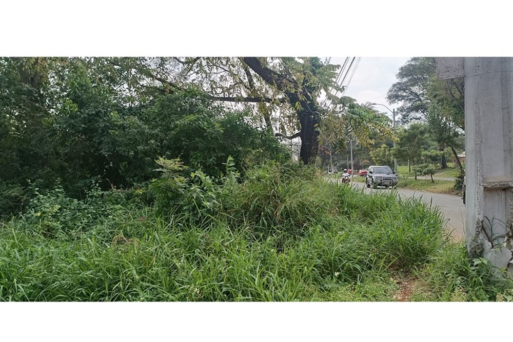 Terreno - Venta - San Lorenzo, Paraguay — foto 2