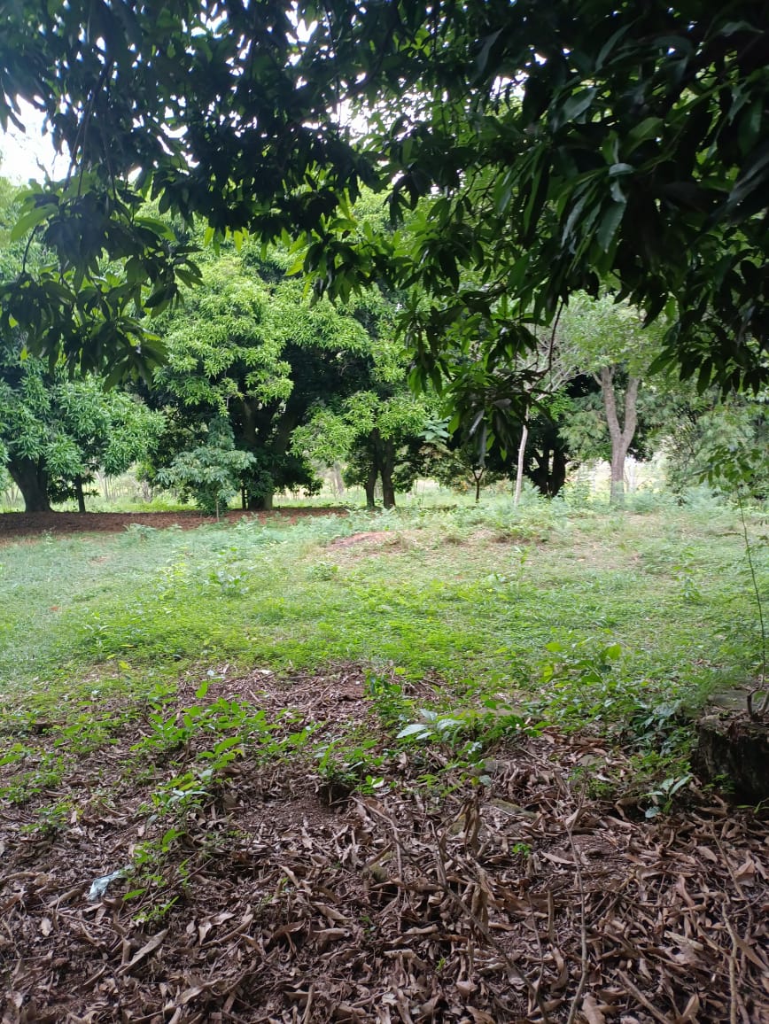 Vendo Terreno En Caacupe Cerro Real — foto 3
