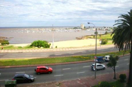 Rbla. Pto. Buceo - Excelente Apto De 250 M2 - Piso 3 Al Fte.