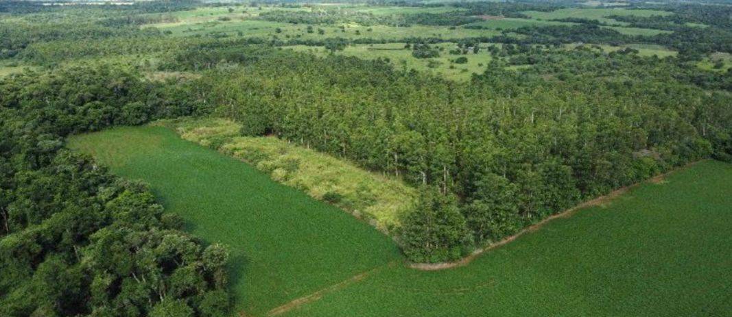 EN VENTA 59 HECTAREAS EN CAMBYRETA — foto 2
