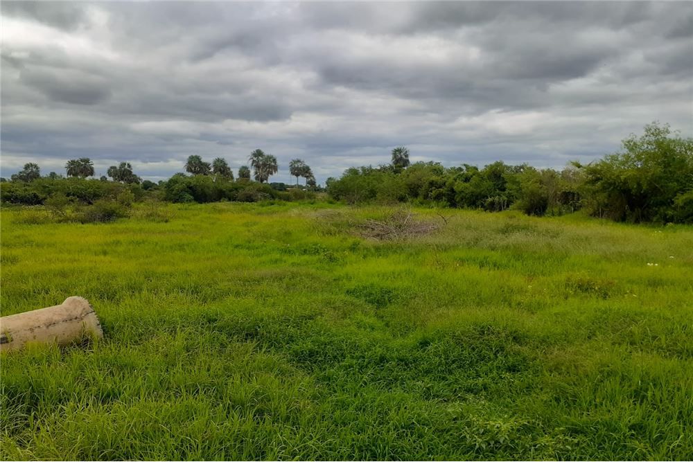 VENDO TERRENO DE 7667M2 EN VILLA HAYES — foto 3
