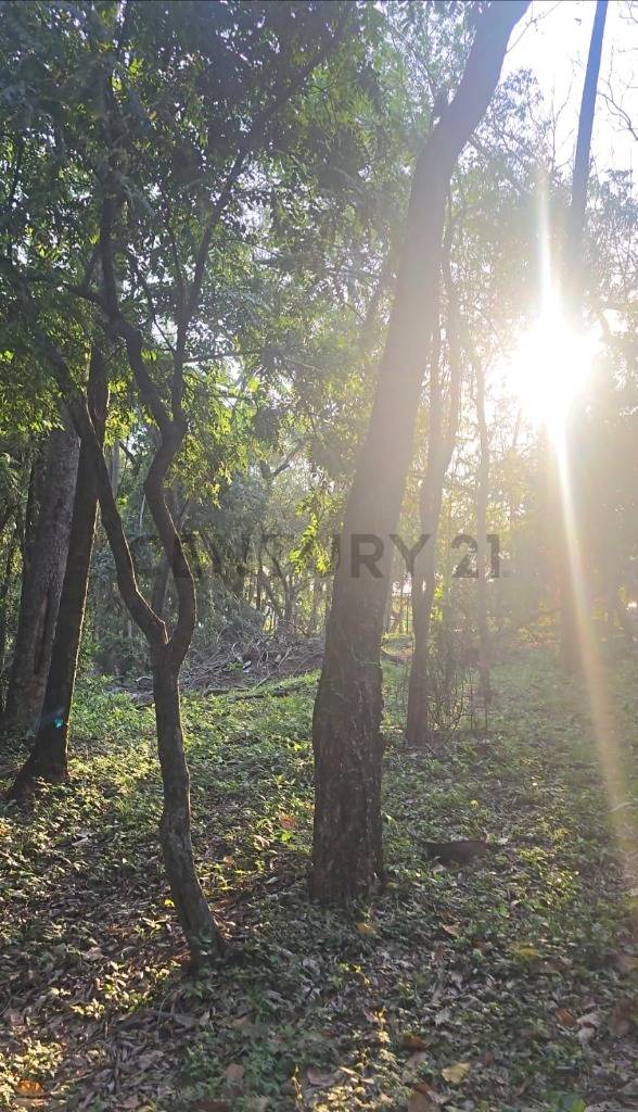 VENDO TERRENO - LAS CUMBRES, SAN BERNARDINO — foto 2