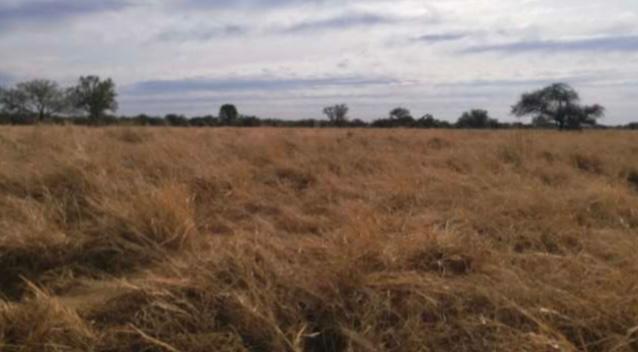 Vendo Estancia de 16.500 hectáreas en zona Agropil — foto 2