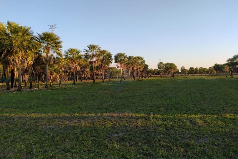 Vendo Terreno en Nueva Asuncion Excelente Precio — foto 2