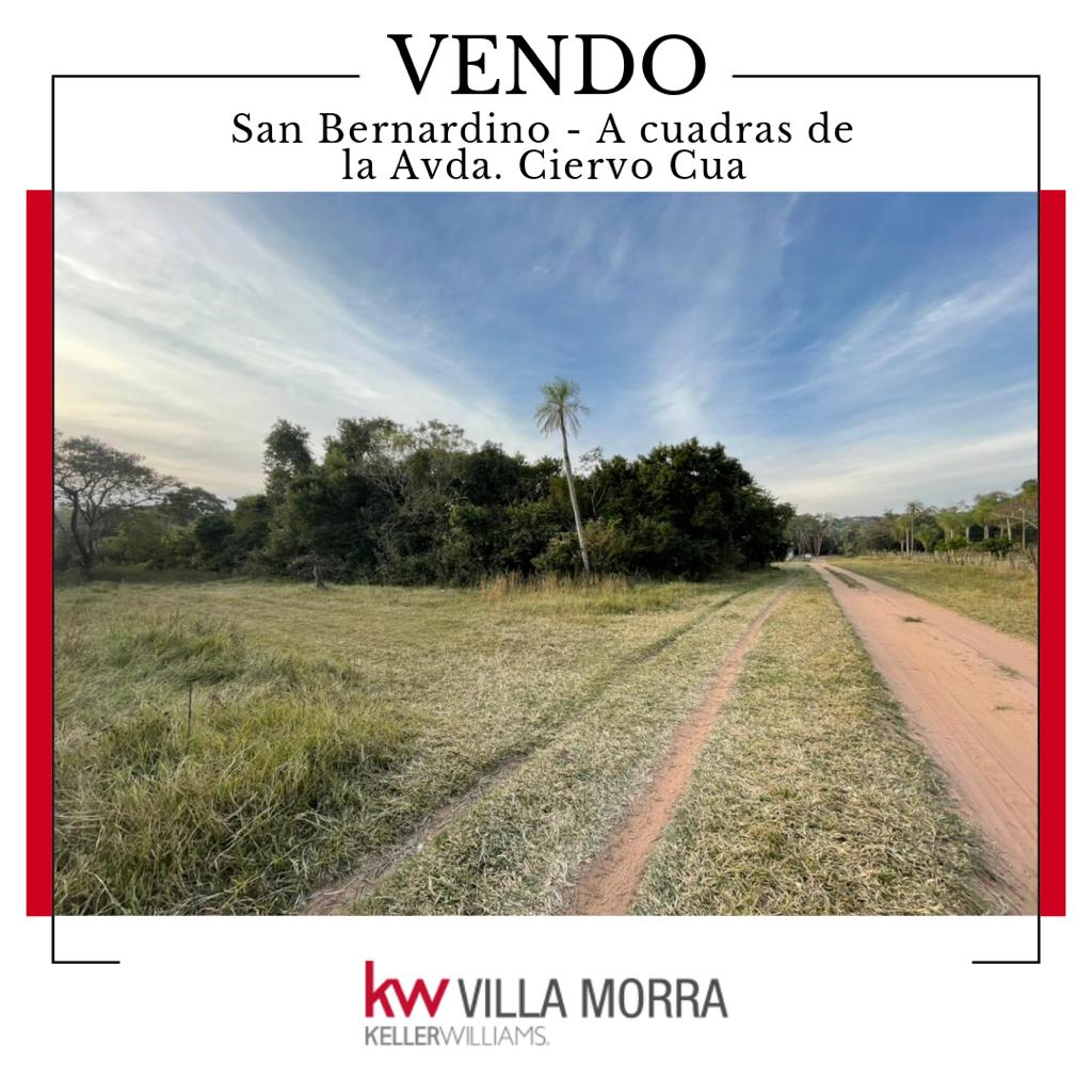 VENDO TERRENO EN SAN BERNARDINO — foto 2