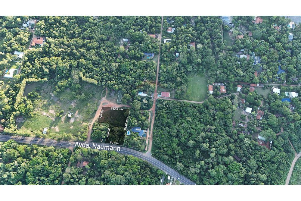 VENDO TERRENO SOBRE AVDA. NAUMANN — foto 2